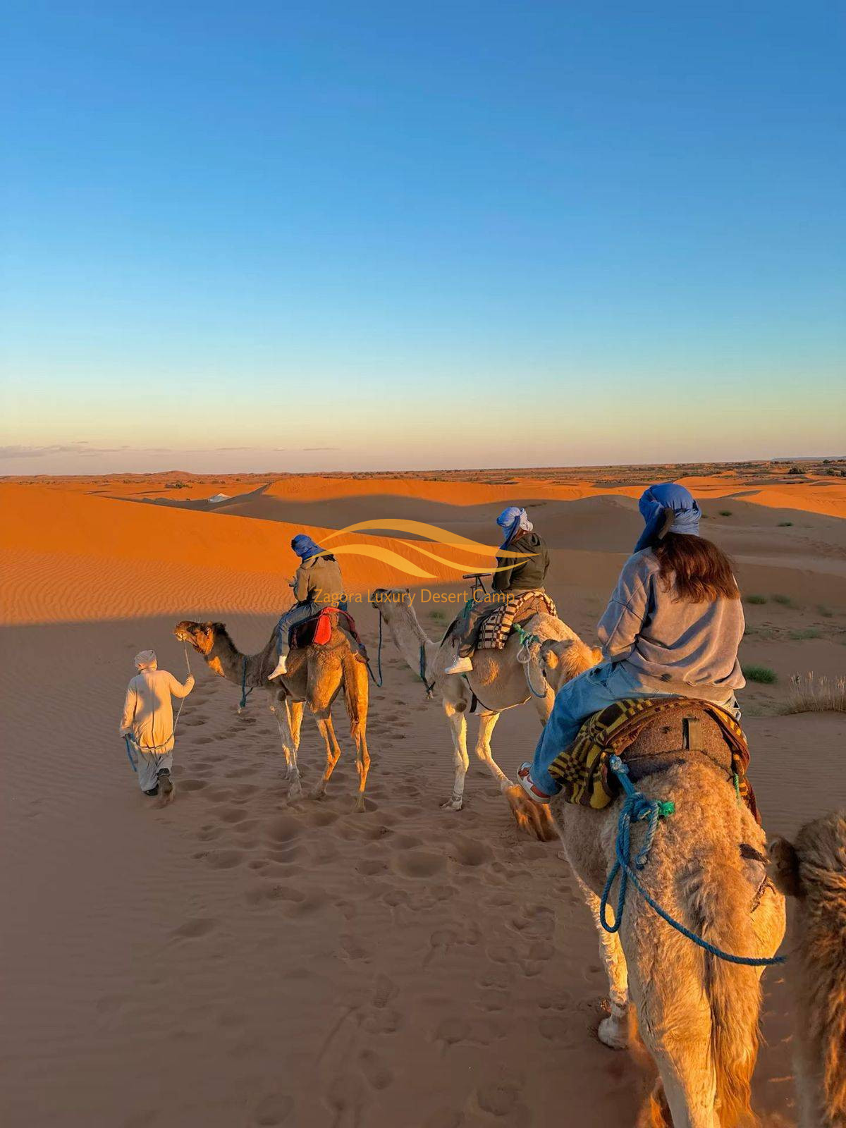 Group camel ride in Zagora Sahara Desert Morocco during sunset shared tour experience