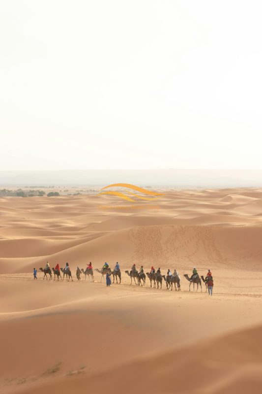 Group enjoying a camel ride in Zagora desert during a shared Sahara tour