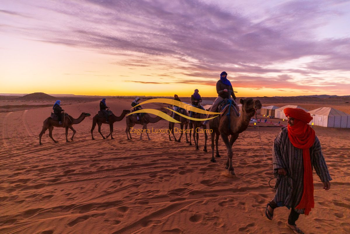 Group of travelers riding camels at sunset in the Zagora desert, Morocco
